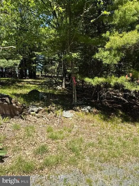 Song Mountain Drive, Tafton, PA 18464 - #3