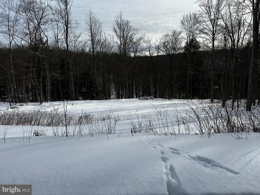 29 Melglen Ln, Coudersport, PA 16915 - #3