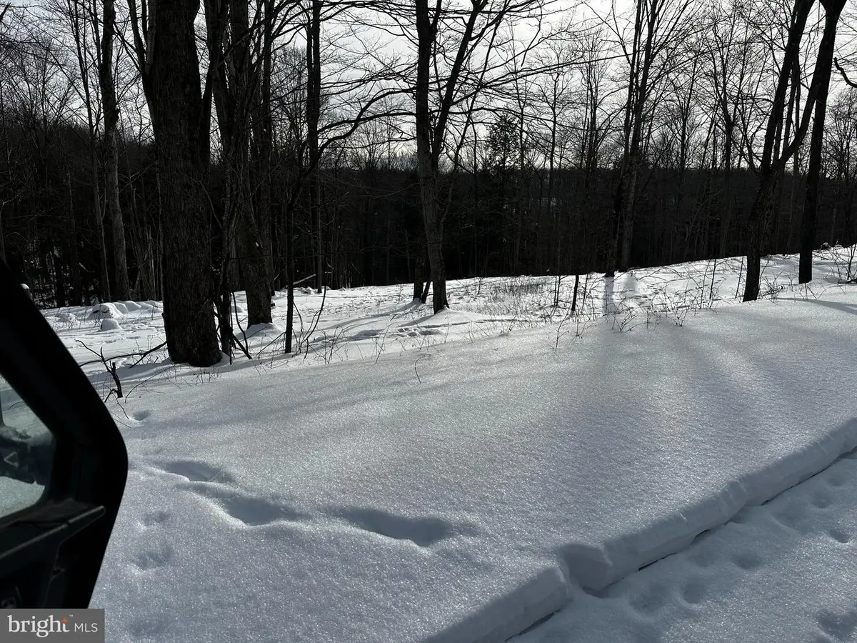 41 Melglen Ln, Coudersport, PA 16915 - #1