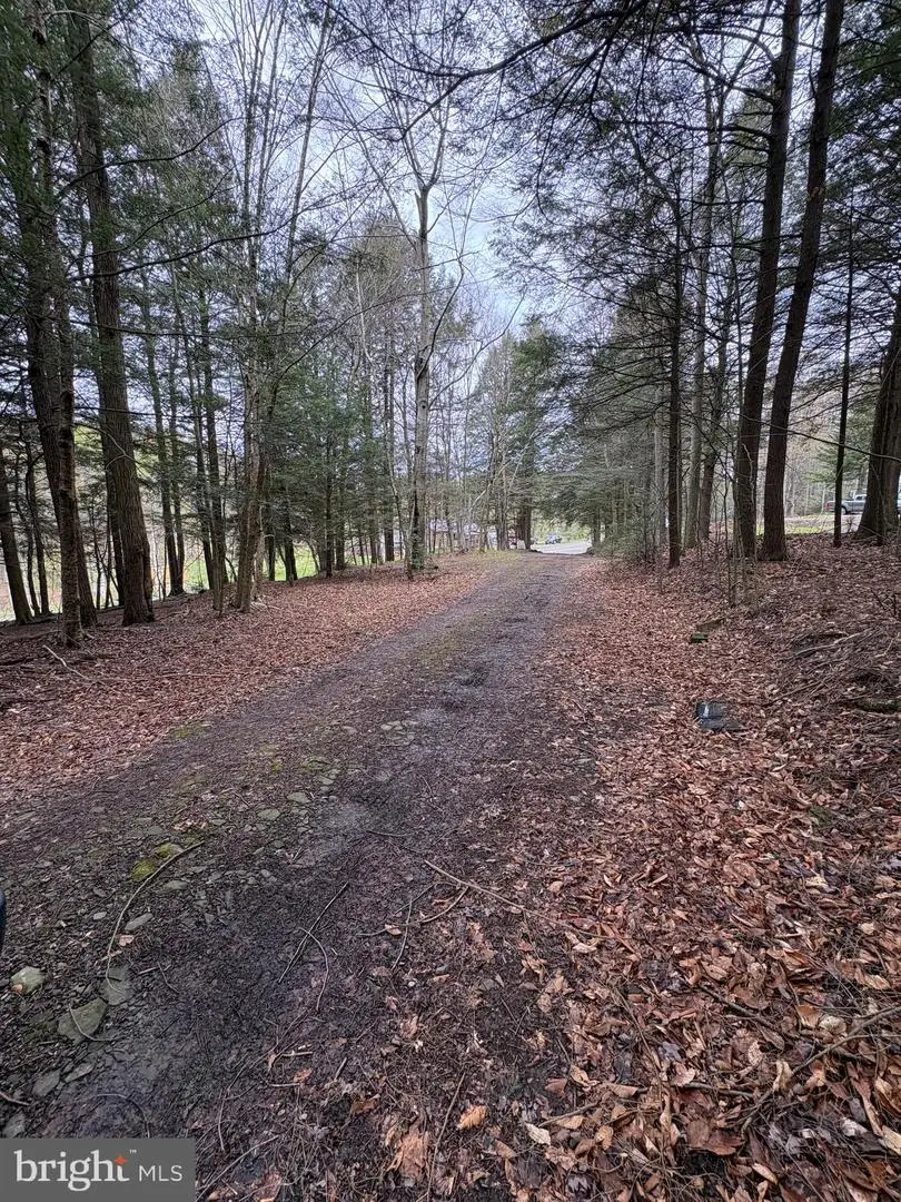 4 Hemlock Ln, Galeton, PA 16922 - #3