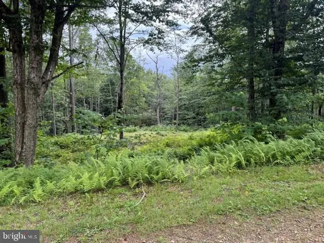 29 Melglen Ln, Coudersport, PA 16915 - #1