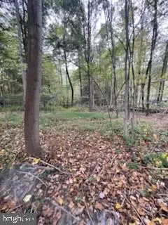 #1