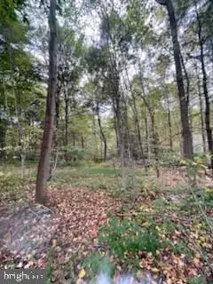 #3
