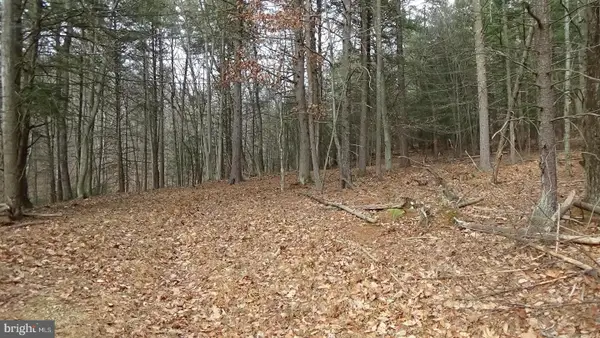 Lot 3 Veterans Way, ELLIOTTSBURG, PA 17024