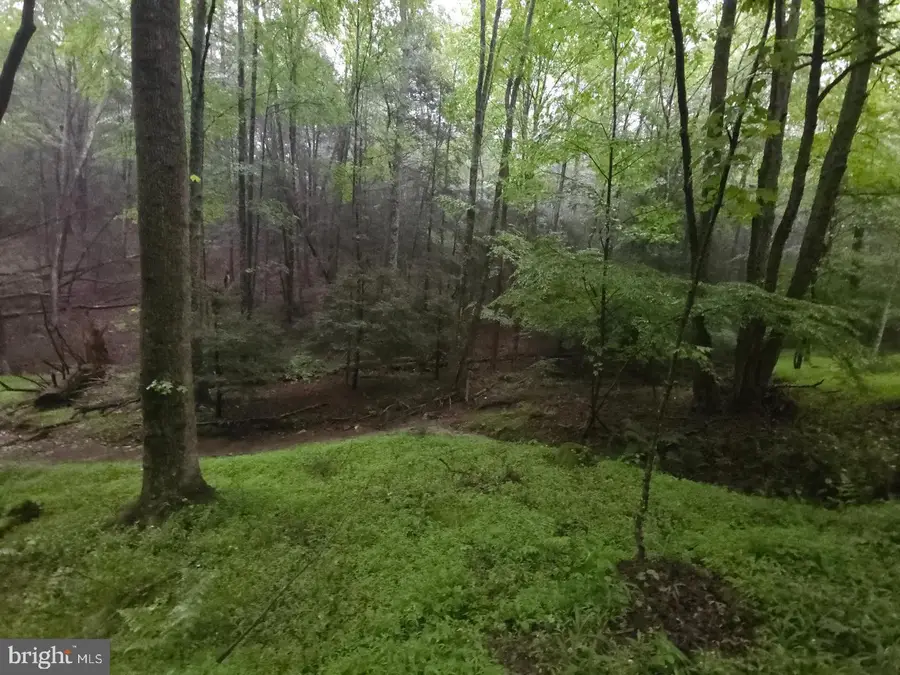 0 Spriggle Rd, Elliottsburg, PA 17024 - Image #2