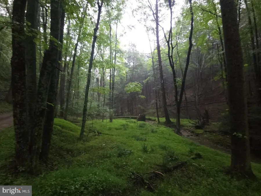 0 Spriggle Rd, Elliottsburg, PA 17024 - Image #3