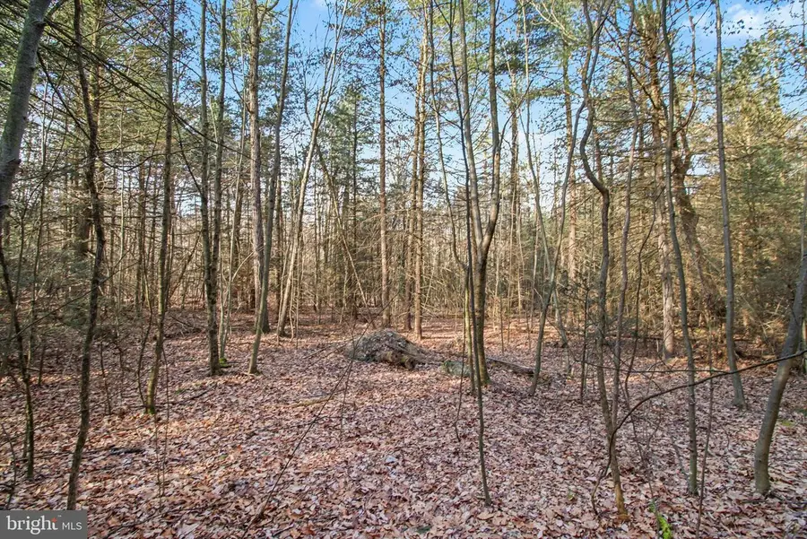 0 Hickory Ridge Rd, Newport, PA 17074 - #3