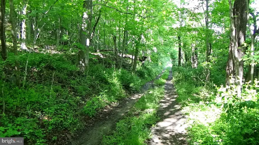 0 Valley View Dr, Landisburg, PA 17040 - #2