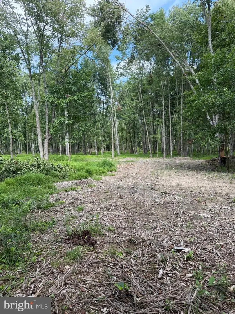 80 Lambs Gap Rd, Marysville, PA 17053 - #1