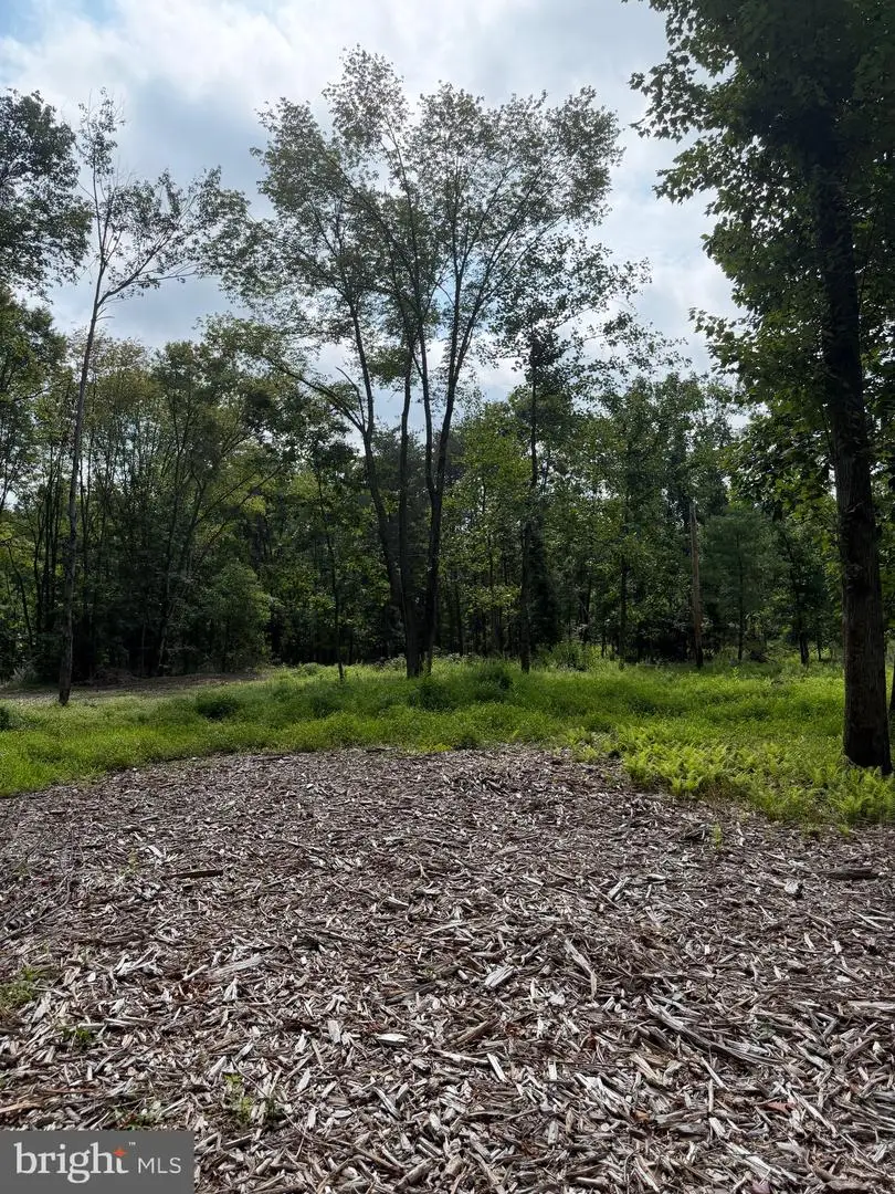80 Lambs Gap Rd, Marysville, PA 17053 - #2