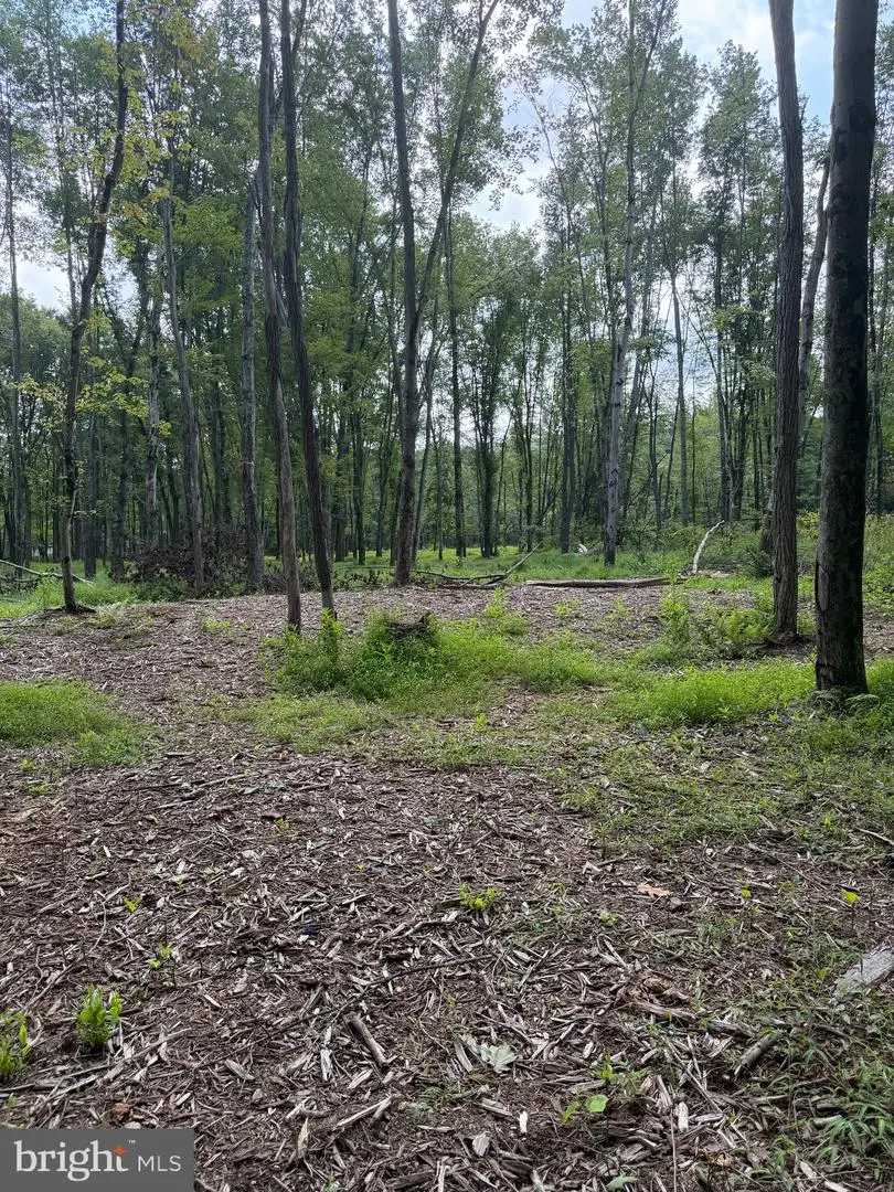 80 Lambs Gap Rd, Marysville, PA 17053 - #3