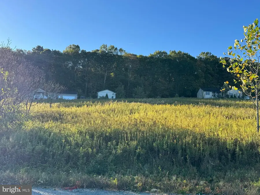 Lot 4 Wild Turkey Rd, New Ringgold, PA 17960 - Image #2