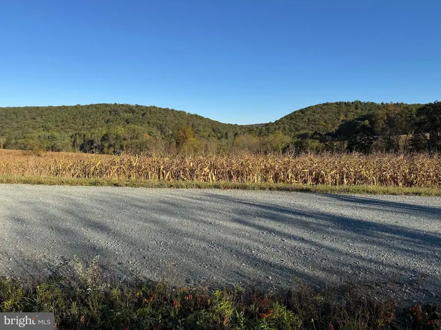 Lot 4 Wild Turkey Rd, New Ringgold, PA 17960 - Image #3