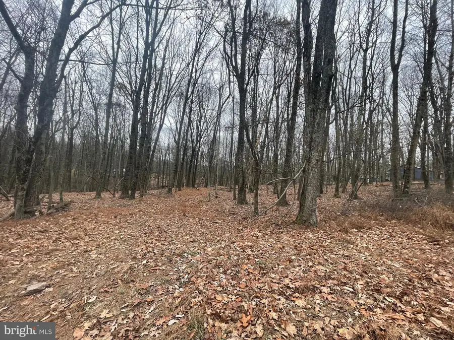 75 Davos Circle, Zion Grove, PA 17985 - Image #3