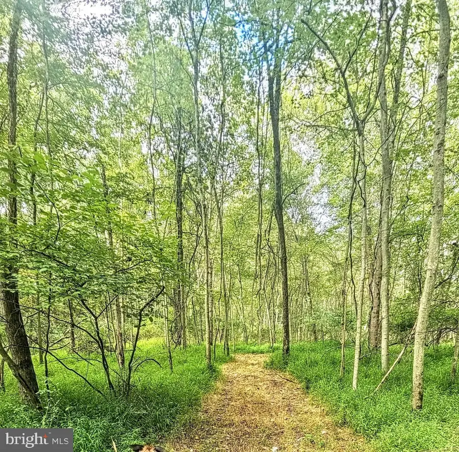 155 W Adamsdale Rd, Schuylkill Haven, PA 17972 - Image #2