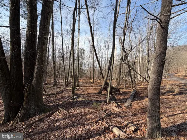 650 Aspen Drive, ZION GROVE, PA 17985