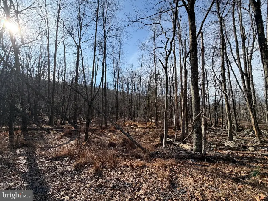 650 Aspen Drive, Zion Grove, PA 17985 - Image #2