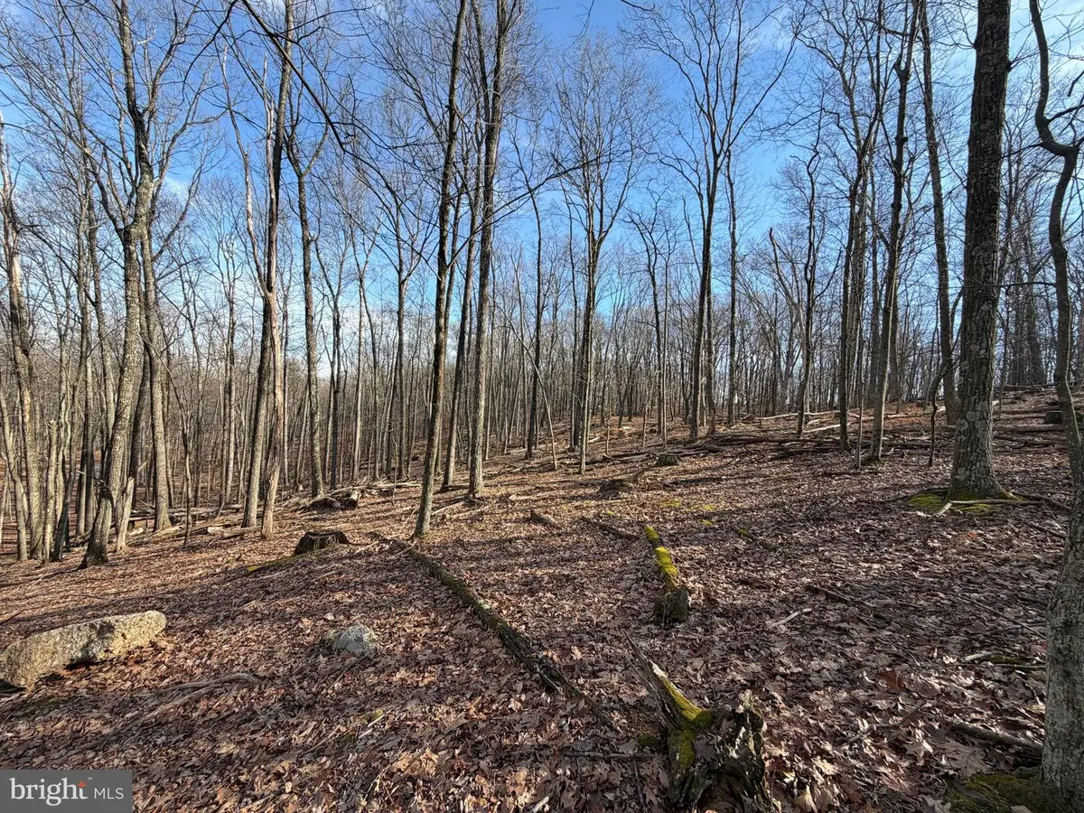 330 Whiteface Circle, Zion Grove, PA 17985 - Image #1