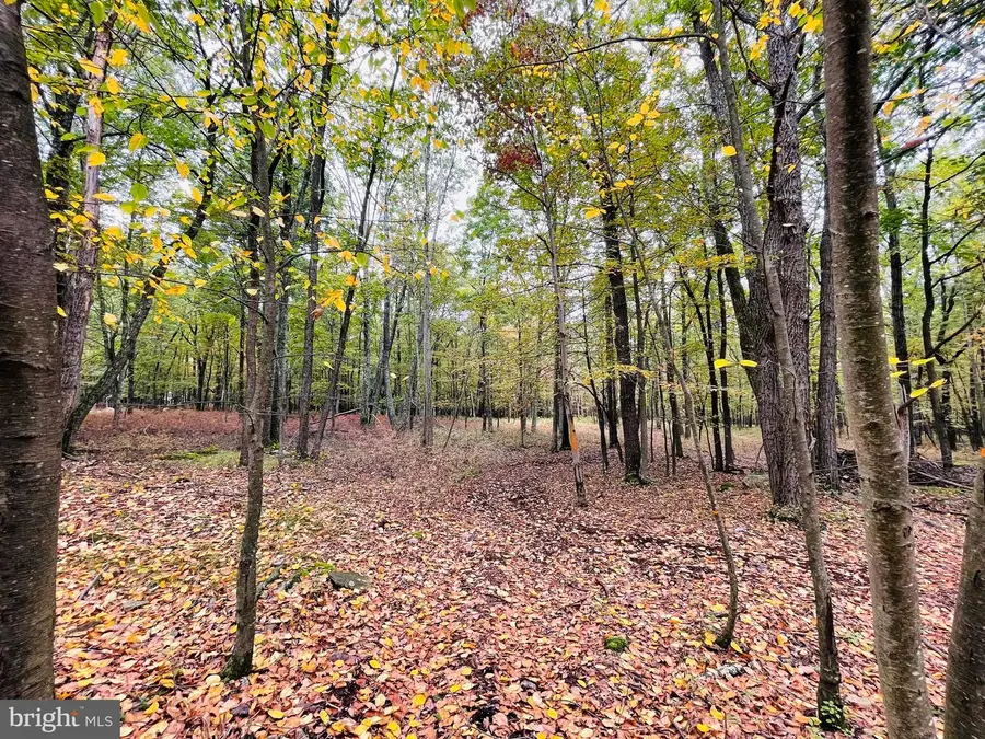 521 Haystack Dr, Zion Grove, PA 17985 - Image #3