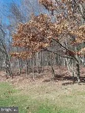 0 N Paul St, Ashland, PA 17921 - #1