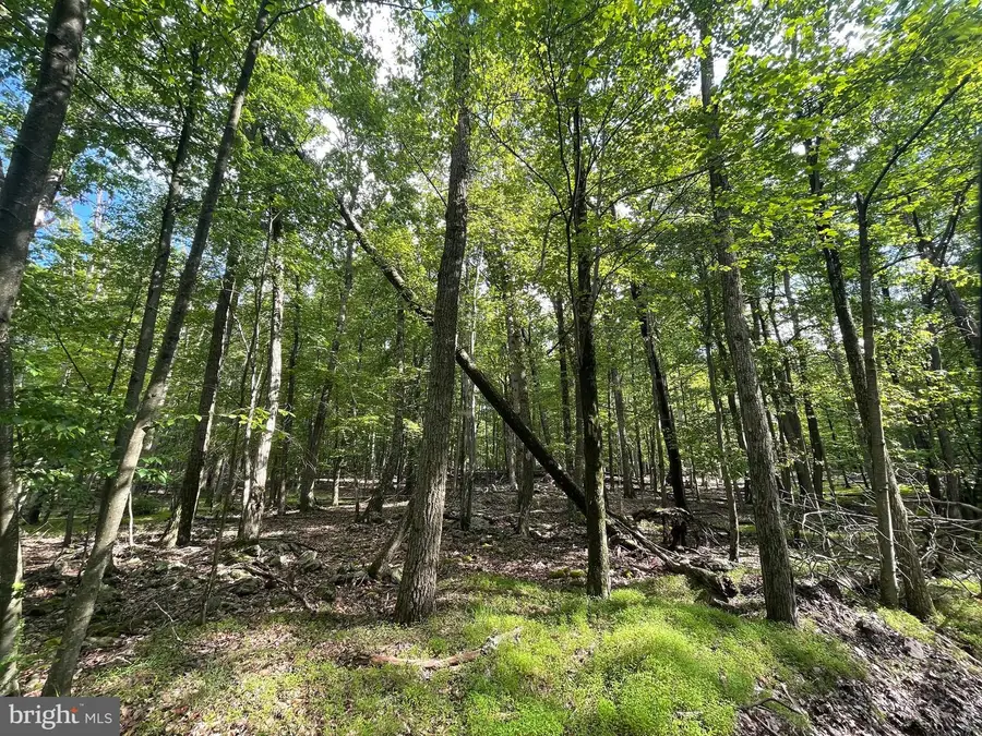 374 Davos Circle, Zion Grove, PA 17985 - #2