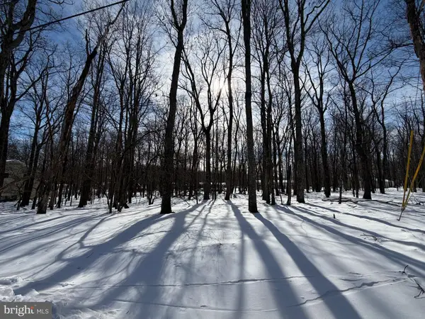 284 Killington, ZION GROVE, PA 17985