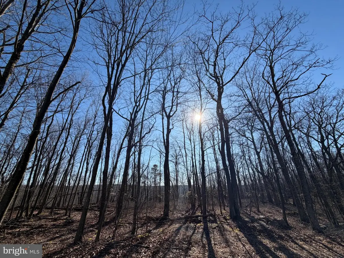 0 S Spring Mountain Dr, Zion Grove, PA 17985 - #1