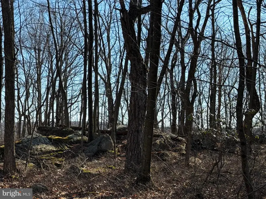 0 S Spring Mountain Dr, Zion Grove, PA 17985 - #2