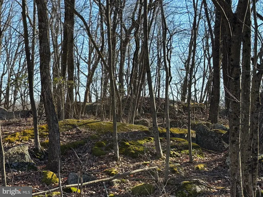 0 S Spring Mountain Dr, Zion Grove, PA 17985 - #3