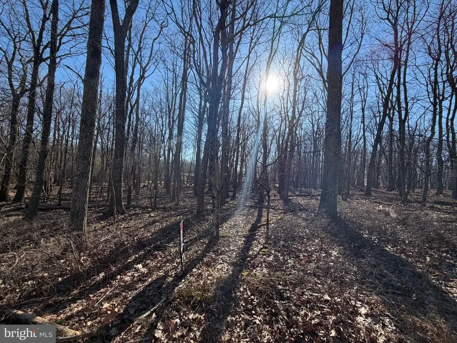 345 White Face Circle, Zion Grove, PA 17985 - #3