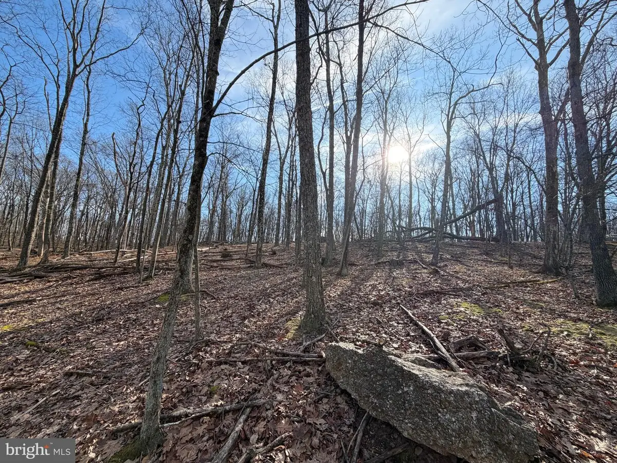 329 Whiteface Circle, Zion Grove, PA 17985 - #1