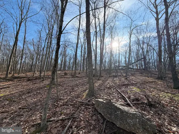 329 Whiteface Circle, ZION GROVE, PA 17985