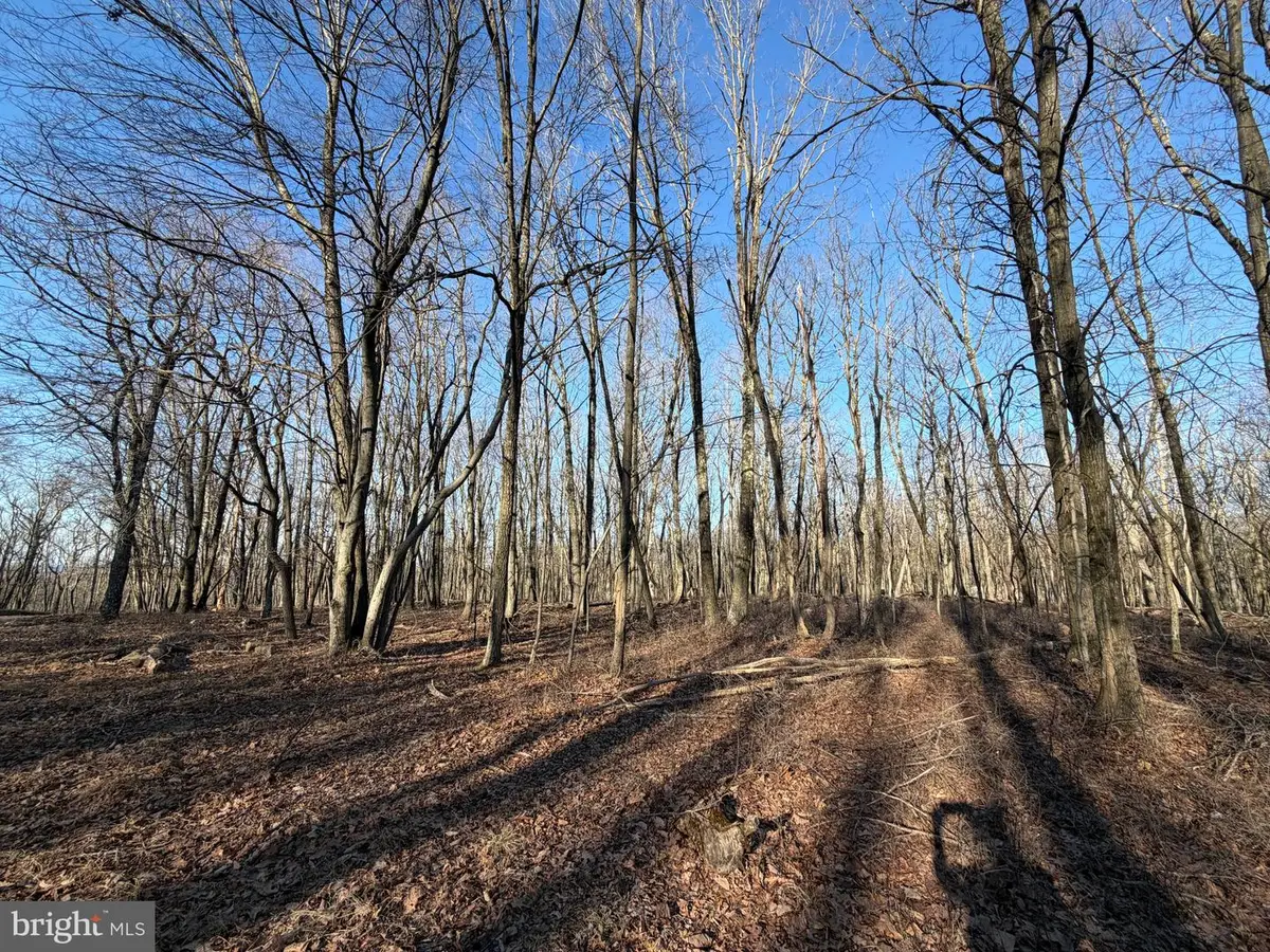 386 Davos Circle, Zion Grove, PA 17985 - #1