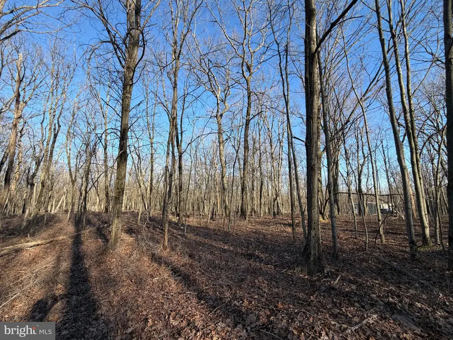 386 Davos Circle, Zion Grove, PA 17985 - #3