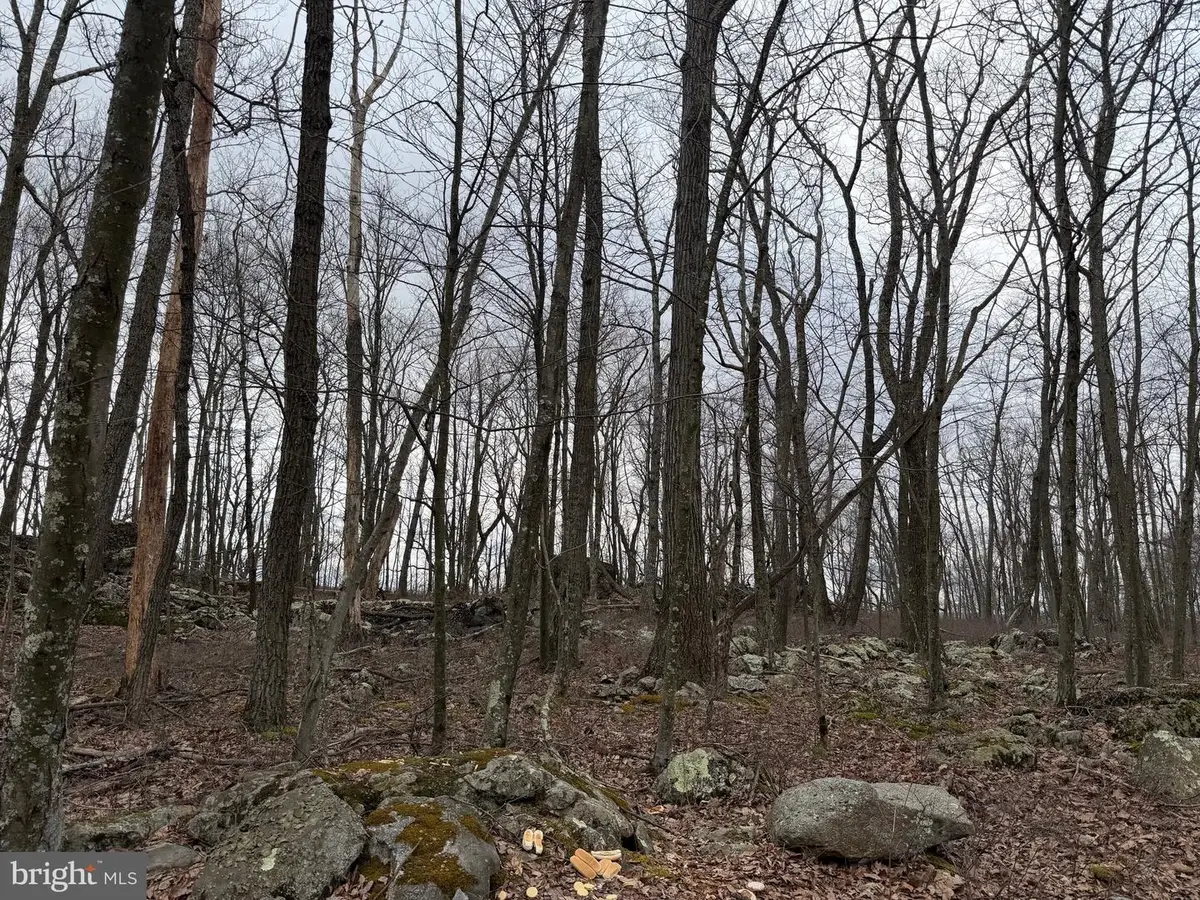 Lot 287.1 Spring Mountain Dr, Zion Grove, PA 17985 - #1