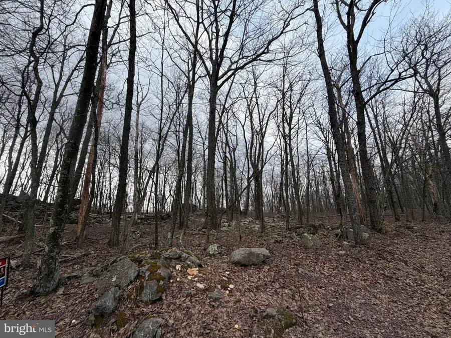 Lot 287.1 Spring Mountain Dr, Zion Grove, PA 17985 - #3