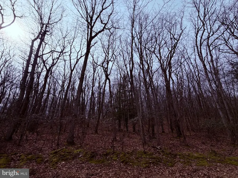 461 Spring Mountain Dr, Zion Grove, PA 17985 - #2