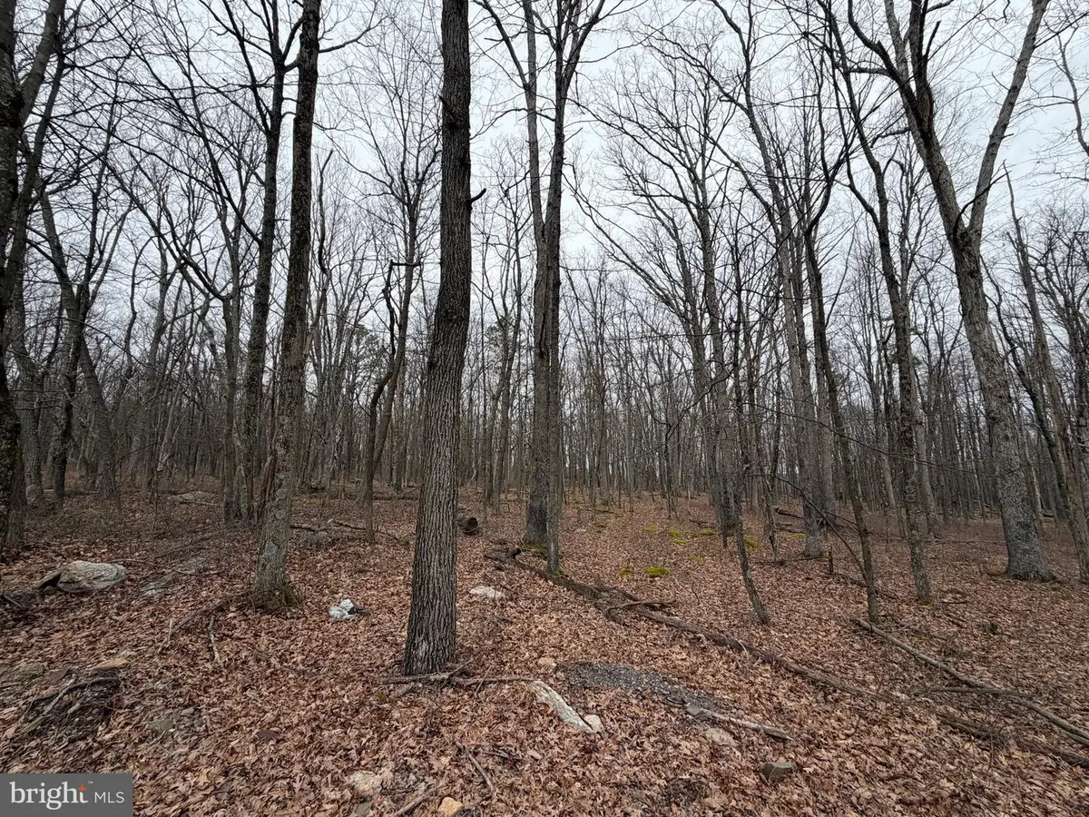 518 Haystack Dr, Zion Grove, PA 17985 - #1