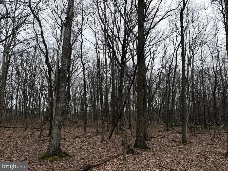 518 Haystack Dr, Zion Grove, PA 17985 - #3