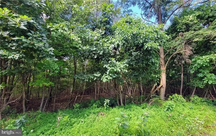 Whitetail Crossing Rd, Tamaqua, PA 18252 - #3