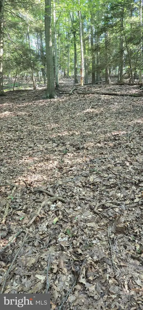 0 Ridge Rd, Cumbola, PA 17930 - #3