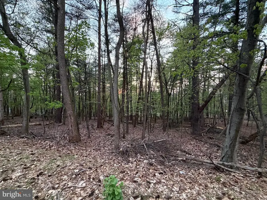 2394 Crow Foot Dr, Auburn, PA 17922 - #2