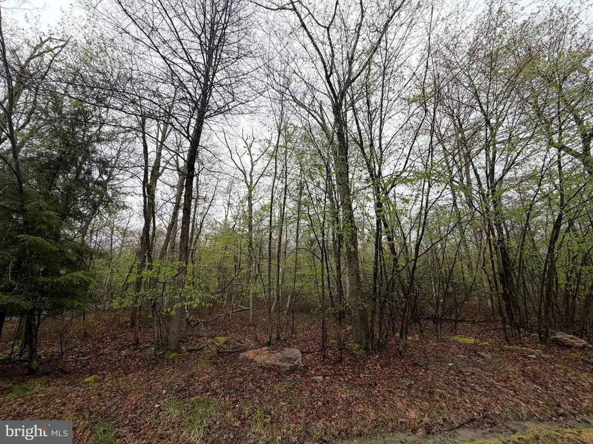 570 Haystack Drive, Zion Grove, PA 17985 - #1