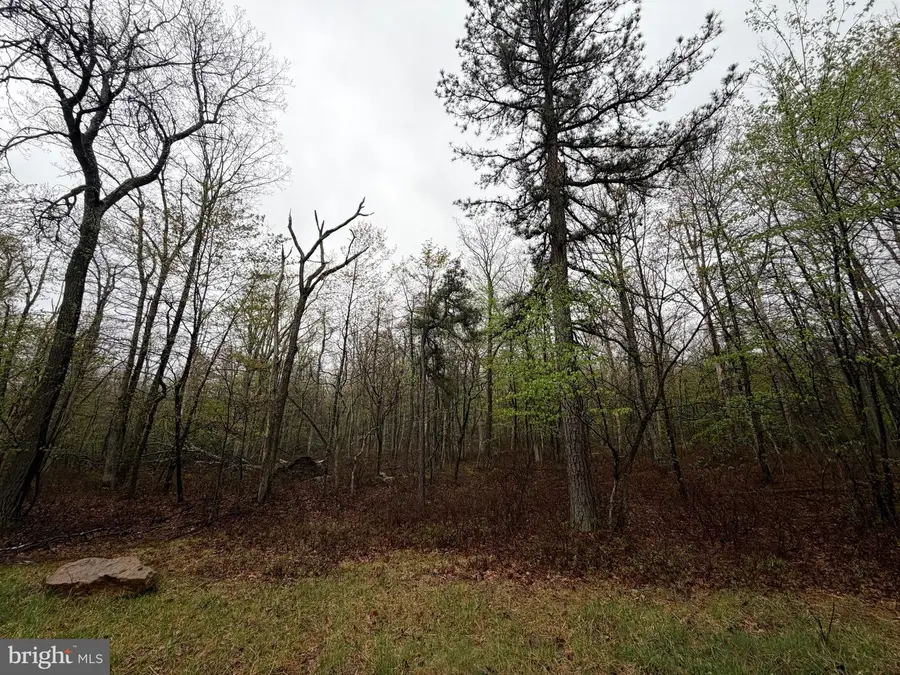 570 Haystack Drive, Zion Grove, PA 17985 - #3