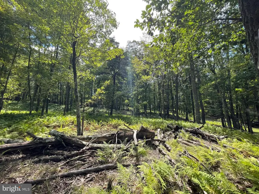 49 Alpine Dr, Zion Grove, PA 17985 - #3