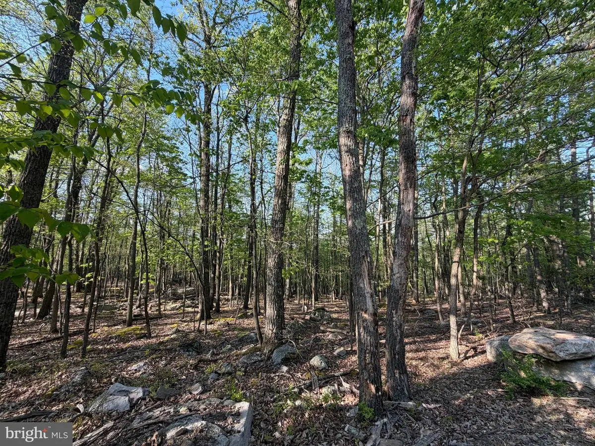 136 Spring Mountain Dr, Zion Grove, PA 17985 - #1