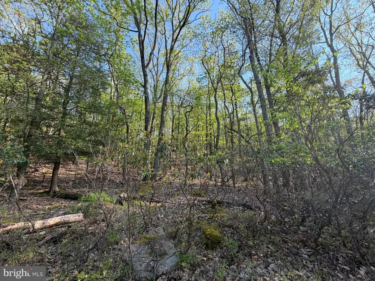462 Spring Mountain Dr, Zion Grove, PA 17985 - #1