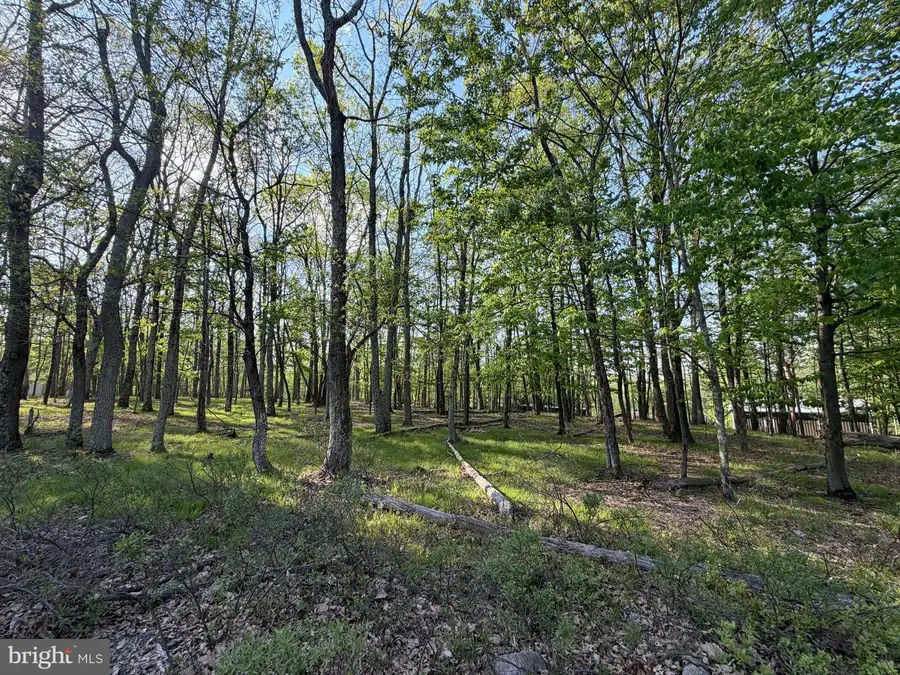 59 Jay Peak Lane, Zion Grove, PA 17985 - #2