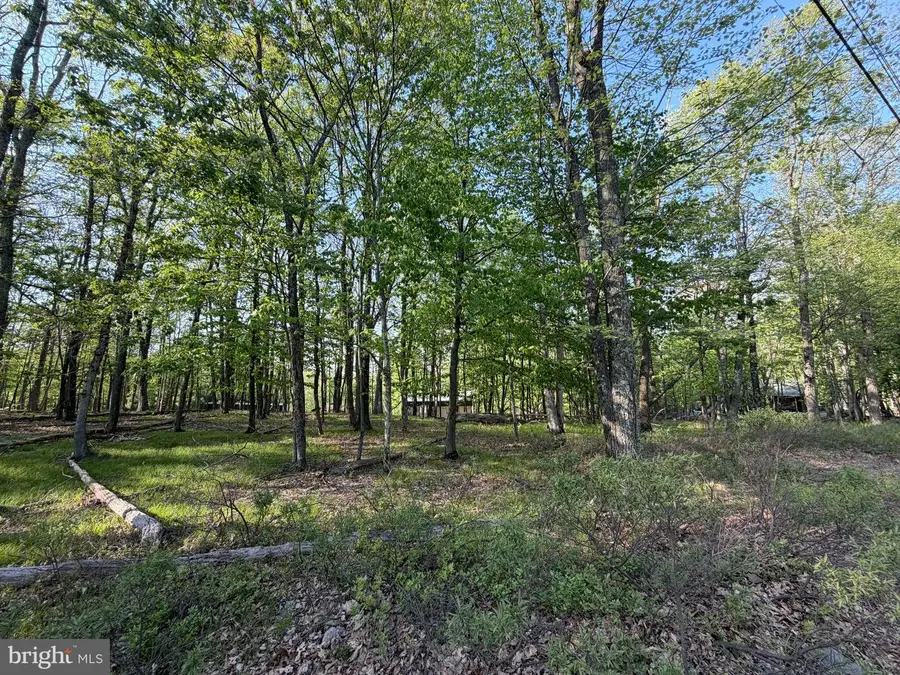 58 Jay Peak Lane, Zion Grove, PA 17985 - #3