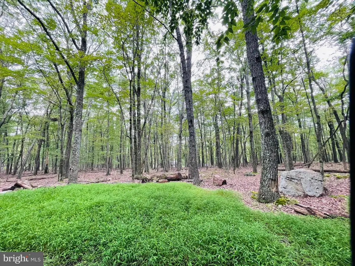 357 White Face Circle, Zion Grove, PA 17985 - #1